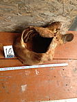 IMG 0845