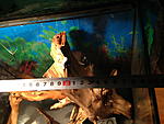 IMG 0921