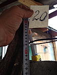 IMG 0861