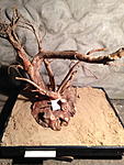 IMG 1040