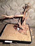IMG 1041