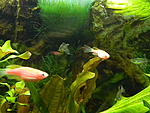 DSCN5956