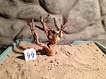 IMG 1073