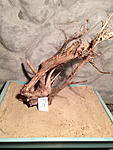 IMG 1046
