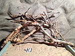 IMG 1127
