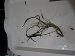 IMG 5044