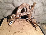 IMG 1062