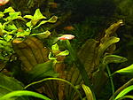 DSCN5757