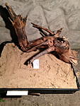 IMG 1038