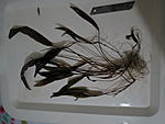 IMG 5040
