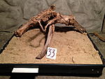IMG 1034