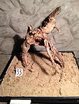 IMG 1035