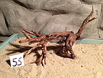 IMG 1102