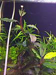 IMG 20180430 211601