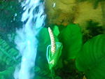 IMG 20180331 100217