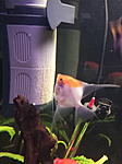 IMG 20180228 191037