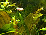 DSCN5693