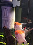 IMG 20180228 191041