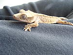 DSC06232