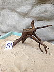 IMG 1098