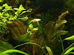 DSCN5756