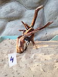 IMG 1371