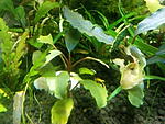 IMG 20171026 110638