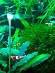IMG 20170717 195643