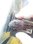 IMG 20180529 184217