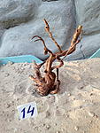 IMG 1372