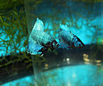 IMG 7520