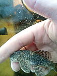 IMG 20180529 184137