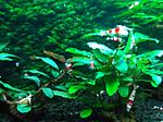 IMG 20170717 195601
