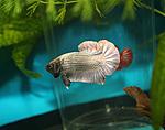 IMG 7681