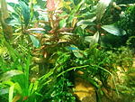 IMG 20171026 172355