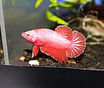 IMG 8395