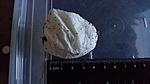  Lampropelma nigerrimum arboricola (ex borneo black)