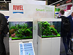   INTERZOO 2018  http://www.aquaforum.ua/showthread.php?t=252997