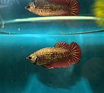 IMG 8493