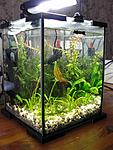 Aquael shrimp set 10   