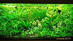 P 20170620 160129 p