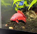 IMG 8567