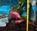 IMG 8451