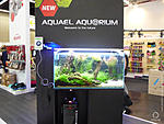    INTERZOO 2018  http://www.aquaforum.ua/showthread.php?t=252997