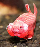 IMG 8559 1