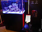    INTERZOO 2018  http://www.aquaforum.ua/showthread.php?t=252997