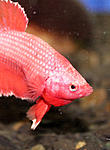 IMG 8569 1