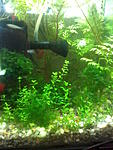 Aquael shrimp set 10     