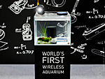    INTERZOO 2018  http://www.aquaforum.ua/showthread.php?t=252997