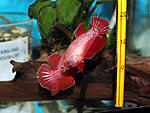 IMG 8466
